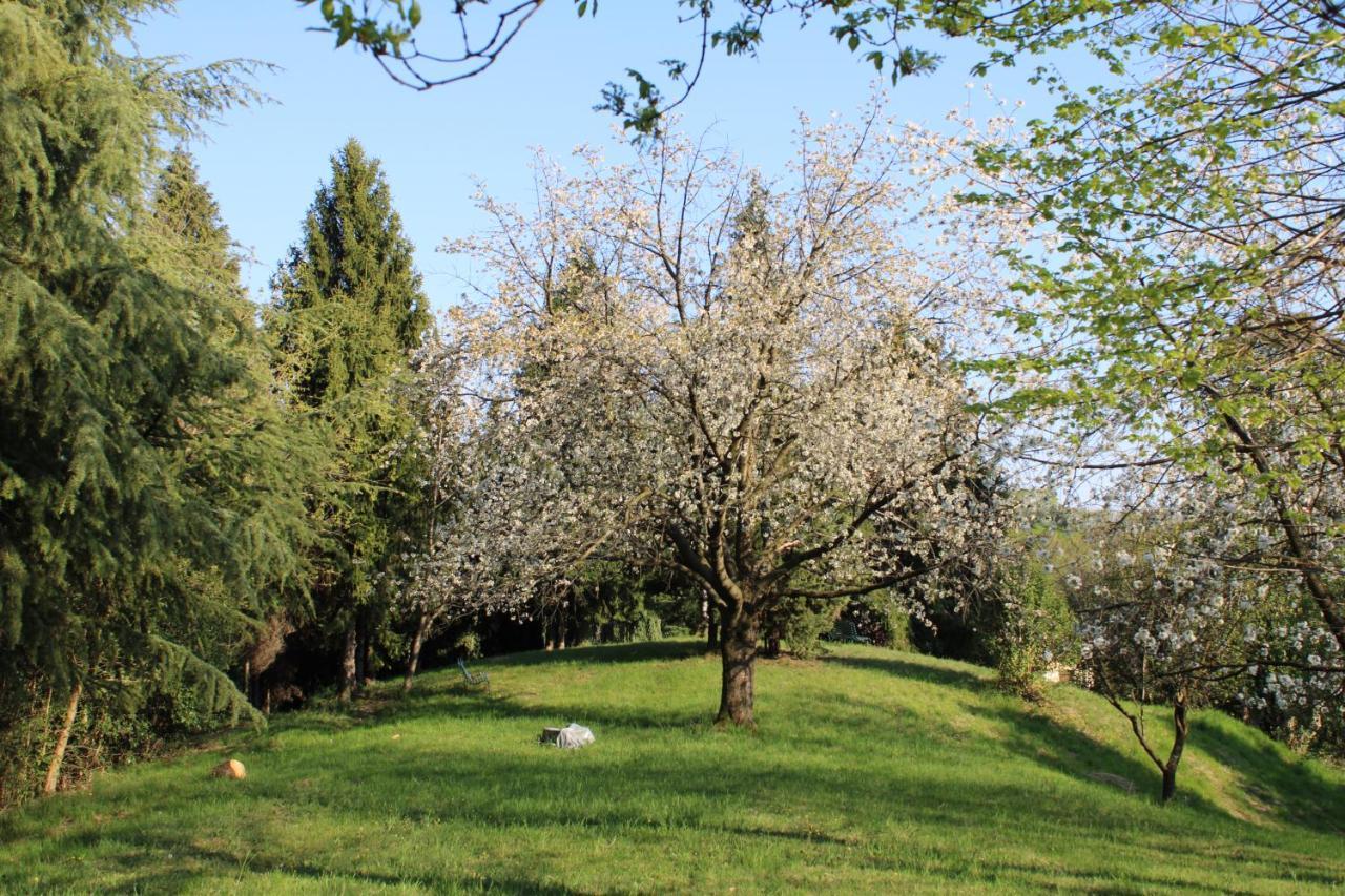 Villa Flangini Asolo Exterior photo